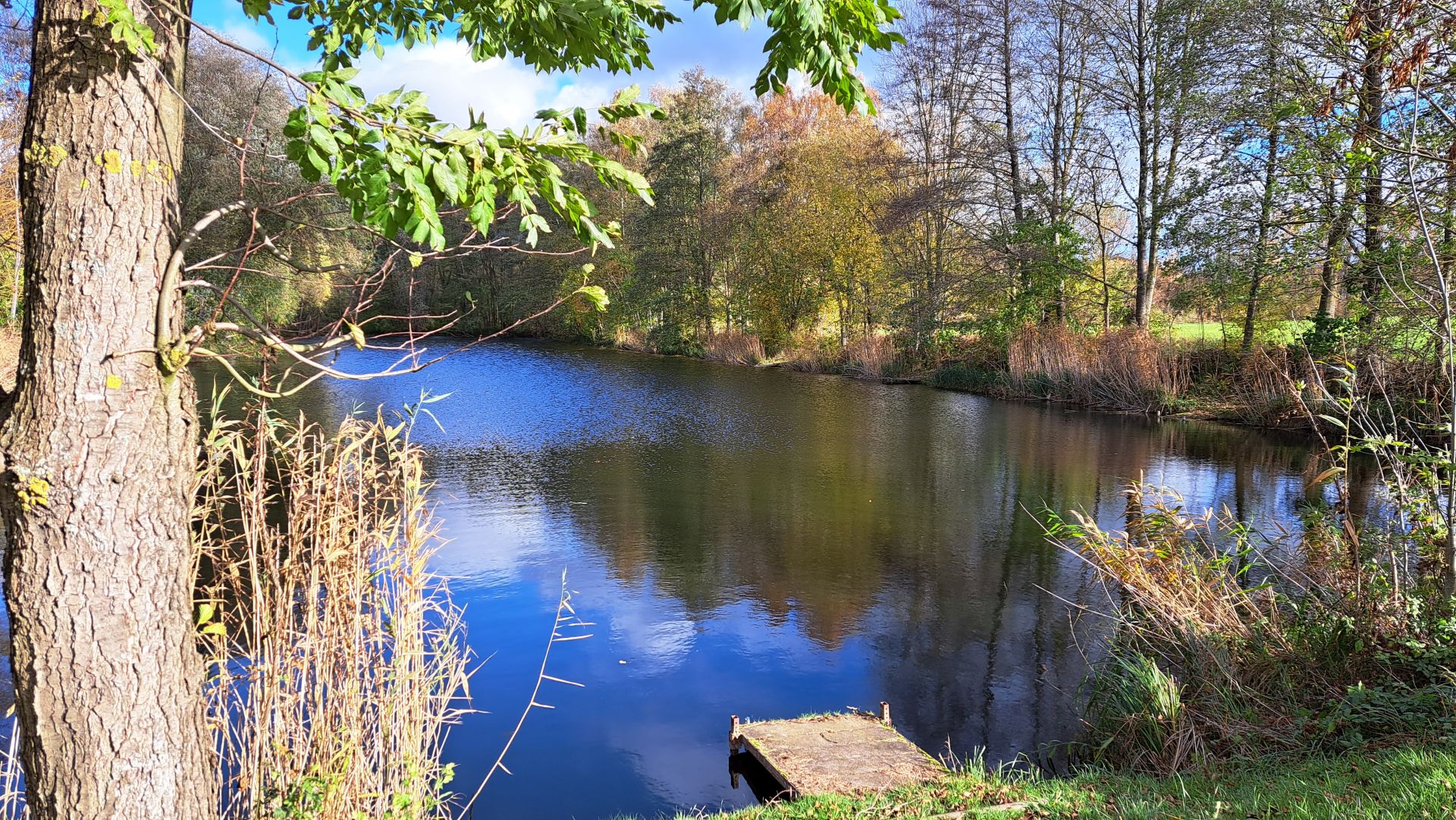 Teich bei Gößnitz Richtung Klosterhäseler